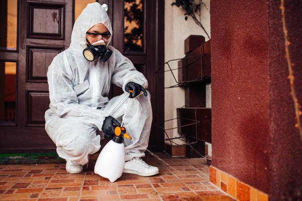 Reliable Wasp Removal contractor in Ankeny, IA by Show Me Pest Control